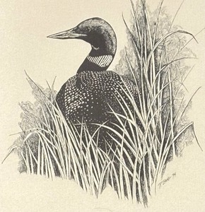 lot 279 image: Lovely Loon Print by P. Bang