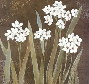 lot 356 image: Snowdrops Framed Print by Carol Robinson