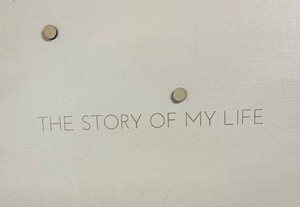 lot 362 image: Magnetic Memory Board