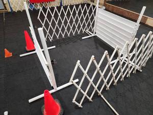 lot 486 image: Dog Agility Training Course Items