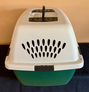 lot 399 image: Green and Cream Plastic Small Animal Carrier