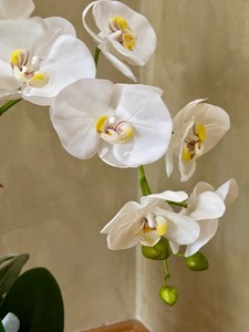 lot 26 image: Beautiful Faux Orchid Arrangement