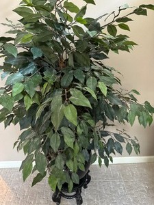 lot 37 image: Faux Plant
