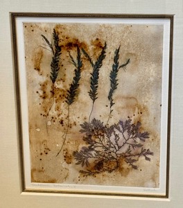 lot 19 image: Framed Sketchbook Botanic II Artwork by Hollack
