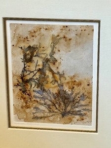 lot 20 image: Framed Sketchbook Botanic V Artwork by Hollack