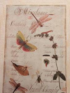 lot 215 image: Decorative Dragonfly Print