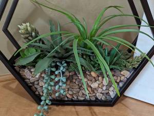 lot 99 image: Decorative Canvas Print and Hanging Faux Succulent