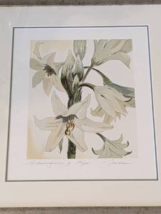 lot 81 image: Pair of Framed Floral Prints by Liz Jardine