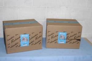 lot 2 image: New - PAIR - Rockustics PunkRock Outdoor Weatherproof Garden Landscaping Rock Audio Loudspeakers  Speakers