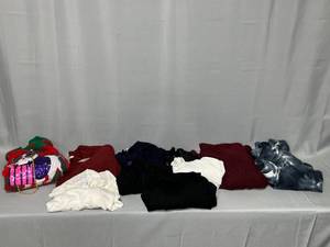 Lot of Womens Sweaters (one SZ L w tag), 1 Short Sleeved Blouse (w tag) SZs Mostly 1X & 2X