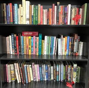 Lot of Books - Variety of Geisha Themed Books, Japanese Themed Books, Gail Tsukiyama, M.C. Beaton, and More All Titles and Authors Unknown. Great Condition