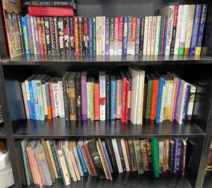Lot of Books - Danielle Steel, Elliott Roosevelt, William X. Kienzie, Jessica Fletcher and Donald Bain and More All Titles and Authors Unknown. Great Condition