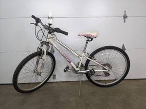 lot 120 image: Raleigh Eva 2.0 Bicycle