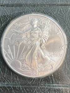 2001 AMERICAN SILVER EAGLE 1 TROY OZ .999 FINE SILVER IN INFO. CASE