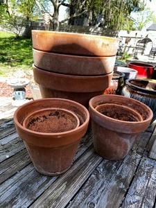 Variety of Terra Cotta Planters
