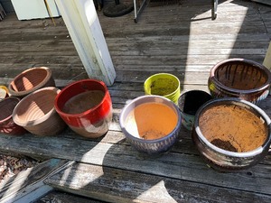 Variety of Planters Pots