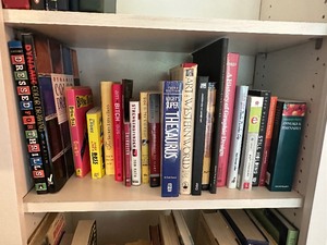 Large Lot of Book Collection