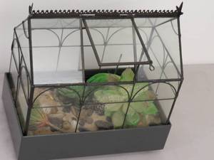 9 12 x 6 Aquarium