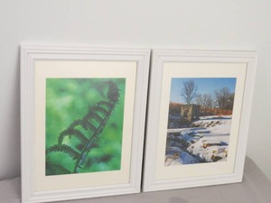 2 Piece Lot of Framed Prints