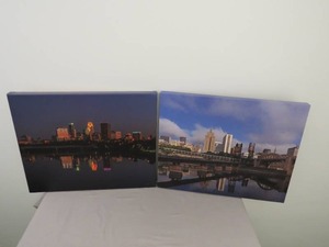 2 Piece Lot Of 16 x 20 Canvas Prints