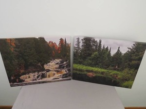2 Piece Lot 16 x 20 Canvas Prints
