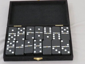 Nice Set of Dominos with a Hard Case