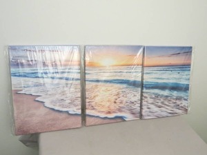 3 Piece Set of Canvas Wal Art