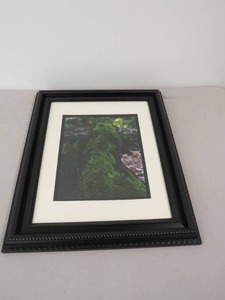 Framed Wall Print