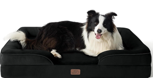 lot 436 image: Bedsure Orthopedic Dog Bed for Large Dogs 35.0L x 25.0W x 6.5Th, Black