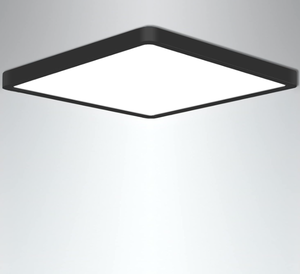 lot 393 image: Flush Mount Ceiling Light, Color Temperature Switchable Ceiling Light