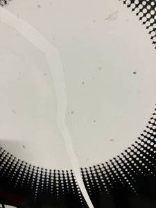 Stardust Cardstock