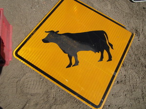 Sign Cow Crossing
