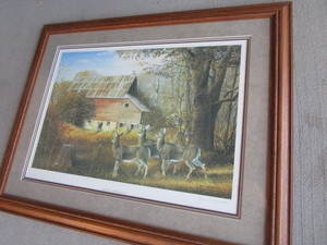 Whitetail Deer Print