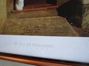 Print  Poster