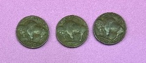 lot 134 image: 1928, 1936,1936 INDIAN HEAD NICKELS