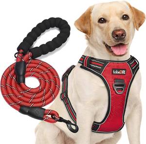 lot 105 image: tobeDRI No Pull Dog Harness Adjustable Reflective  Heavy Duty 5ft Dog Leash (L (Neck 18-25.5, Chest 24.5-33), Red HarnessLeash)