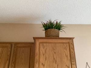 Artificial Greenery
