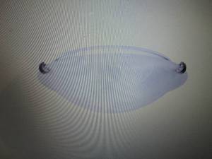 lot 257 image: Sunset 16in 2 Light Flush Mount Sat...