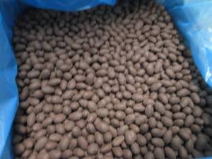 lot 262 image: 35 lb Dark Chocolate Covered Almond...