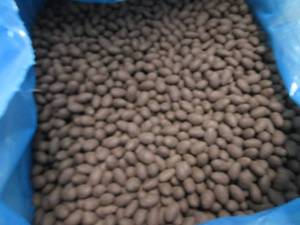 lot 263 image: 35 lb Dark Chocolate Covered Almond...