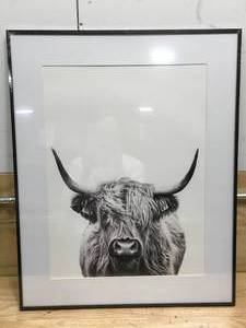 lot 88 image: Photo Of A Cow
