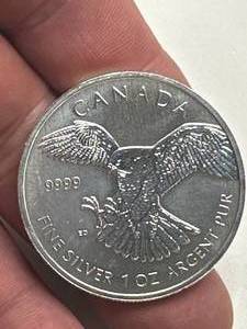 1oz .9999 Silver Canadian Wildlife Round