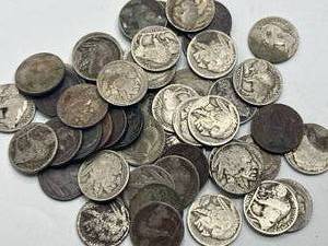 Lot of 50 Buffalo Nickels