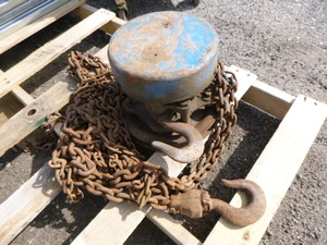 lot 10 image: 3 Ton Chain Hoist