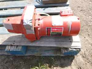 lot 12 image: Red Lion Shallow Well Jet Pump