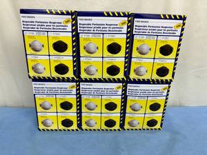 lot 162 image: Lot of 6 Boxes (20 each per box) NEW FIDO Masks F720 NIOSH N95 Disposable Particulate Respirator Masks