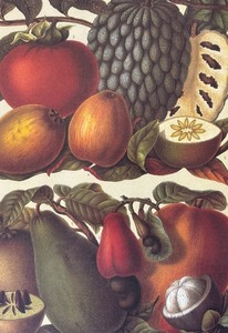 lot 44 image: Tropical Fruit Print