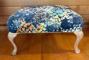 lot 58 image: Beautiful Petite Upholstered Ottoman with Two Coordinating Accent Pillows
