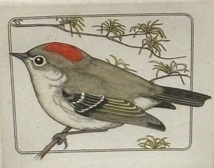 lot 386 image: Ruby Crowned Kinglet Limited Edition Print by L. DuBose