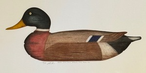 lot 280 image: Mallard Drake Decoy Limited Edition Print